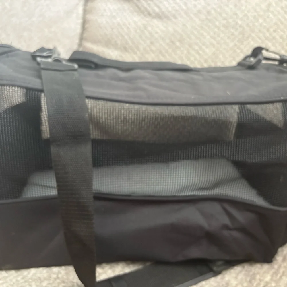 Black Mesh dog carrier